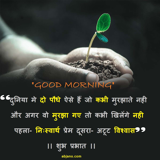 Good Morning Message and Quotes in Hindi Good Morning Message and Quotes in Hindi